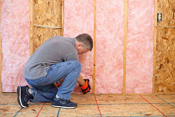 Best Spray Foam Insulation in Carlisle, KY