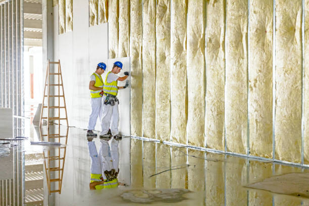 Types of Insulation We Offer in Carlisle, KY